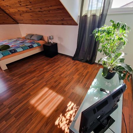 Beautiful Aparment Next To The Border 4 Room Saint-Louis  Eksteriør bilde
